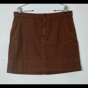 Everlane 100% Cotton Mini Skirt